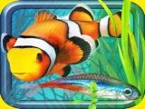 giocare Fish farm - aquarium simulator now