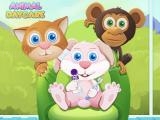 giocare Baby animal daycare