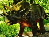 giocare Triceratops dinosaur puzzle