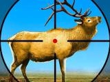 giocare Wild deer hunting 3d