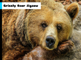 giocare Grizzly bear jigsaw