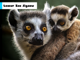giocare Lemur zoo jigsaw