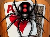 giocare Classic spider solitaire