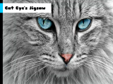 giocare Cat eye's jigsaw