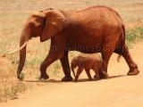 giocare Animals jigsaw puzzle - elephants now