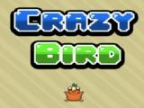 giocare Crazy flappy now