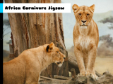 giocare Africa carnivore jigsaw