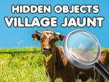 giocare Hidden objects village jaunt