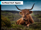 giocare Scotland beef jigsaw now