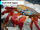 giocare Beach crab jigsaw now