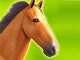 giocare Horse run 3d now