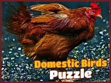 giocare Domestic birds puzzle now