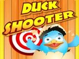 giocare Duck shooter