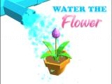 giocare Water the flower now