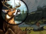 giocare Deer hunter