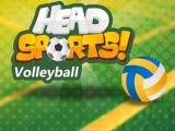 giocare Head sports volleyball