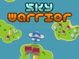 giocare Sky warrior now